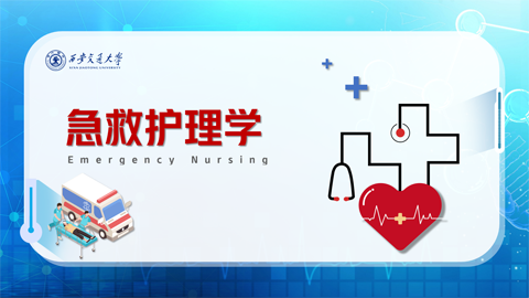 默认计划 